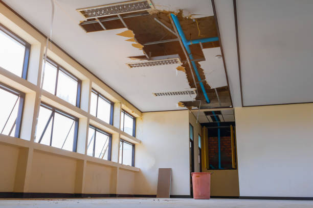 Best Carpet water damage restoration  in Bangs, TX