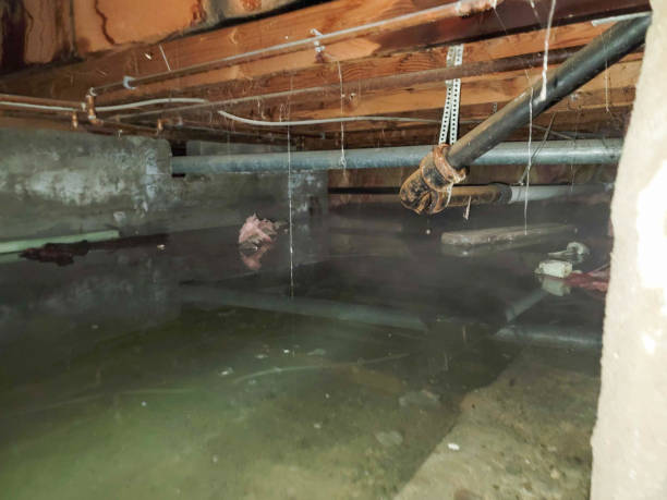 Best Emergency water damage restoration  in Bangs, TX